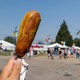 Pronto Pup at state fair
